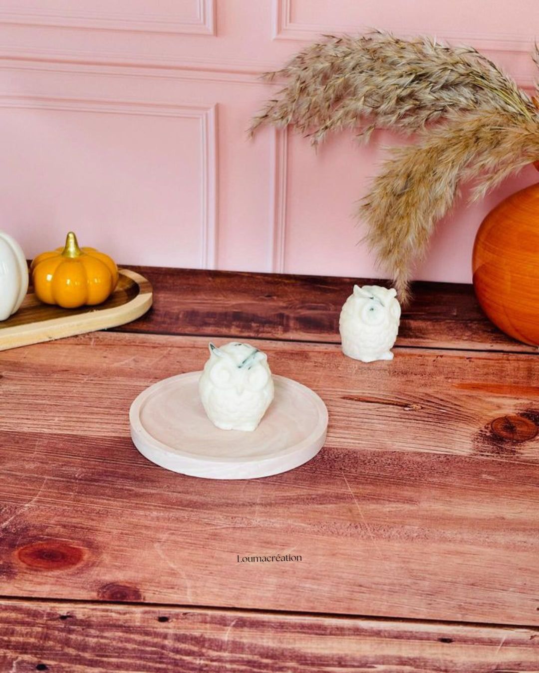 Fondant Chouette