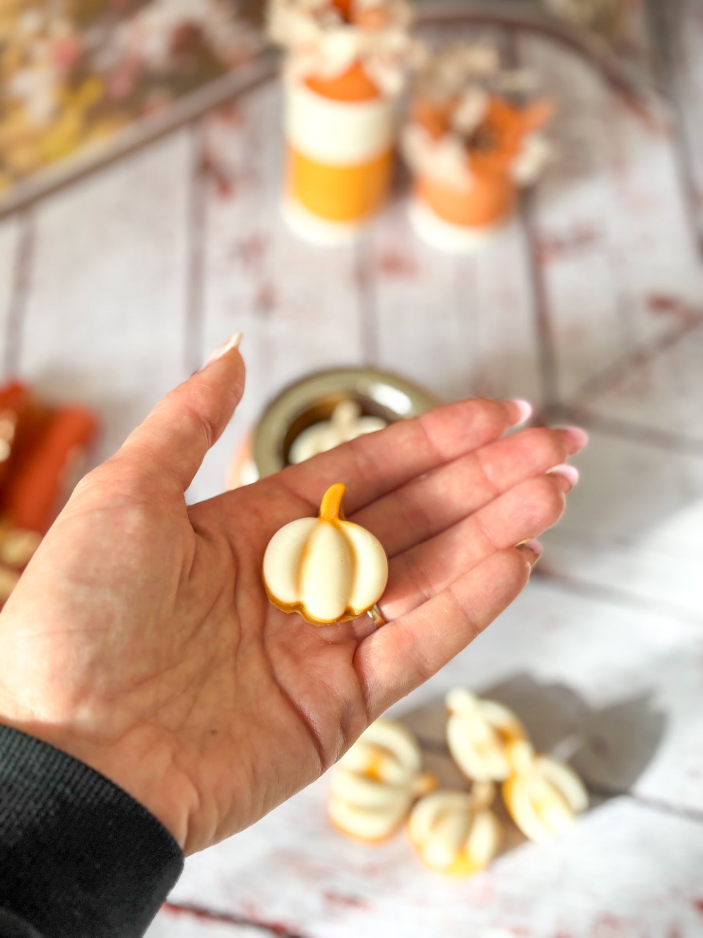 Automne - Coffret citrouilles