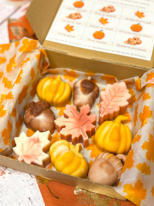 Big Coffret Automne