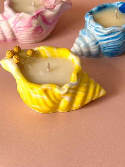 Bougie Coquillage