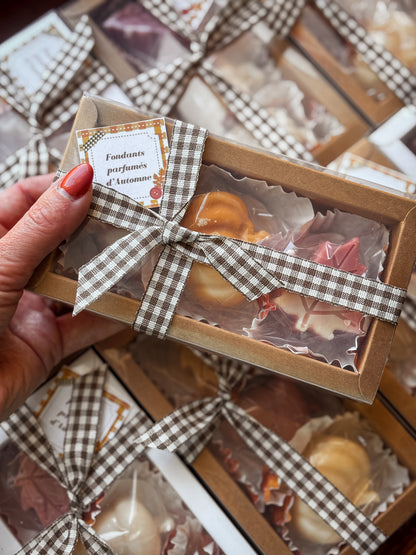 Coffret d'automne - 3 gros fondants parfumés au choix
