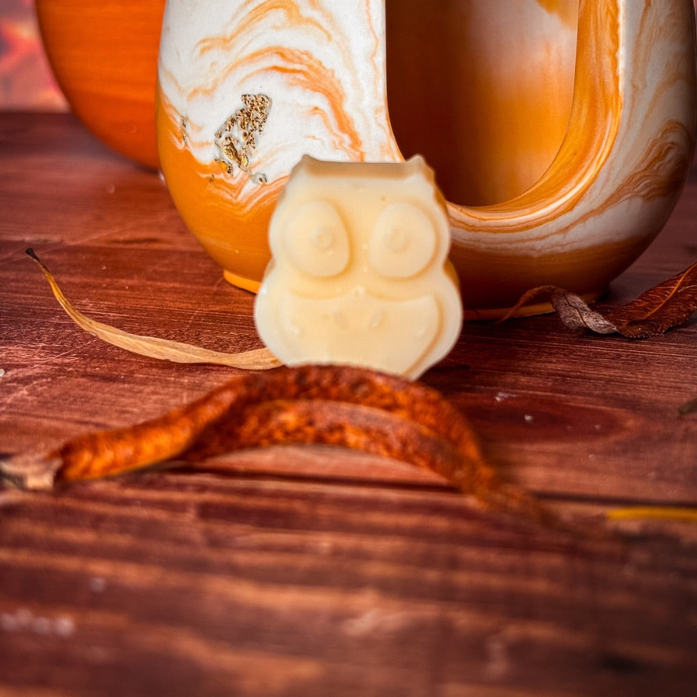 Lot de 4 Petites Chouettes en Fondants d'Automne