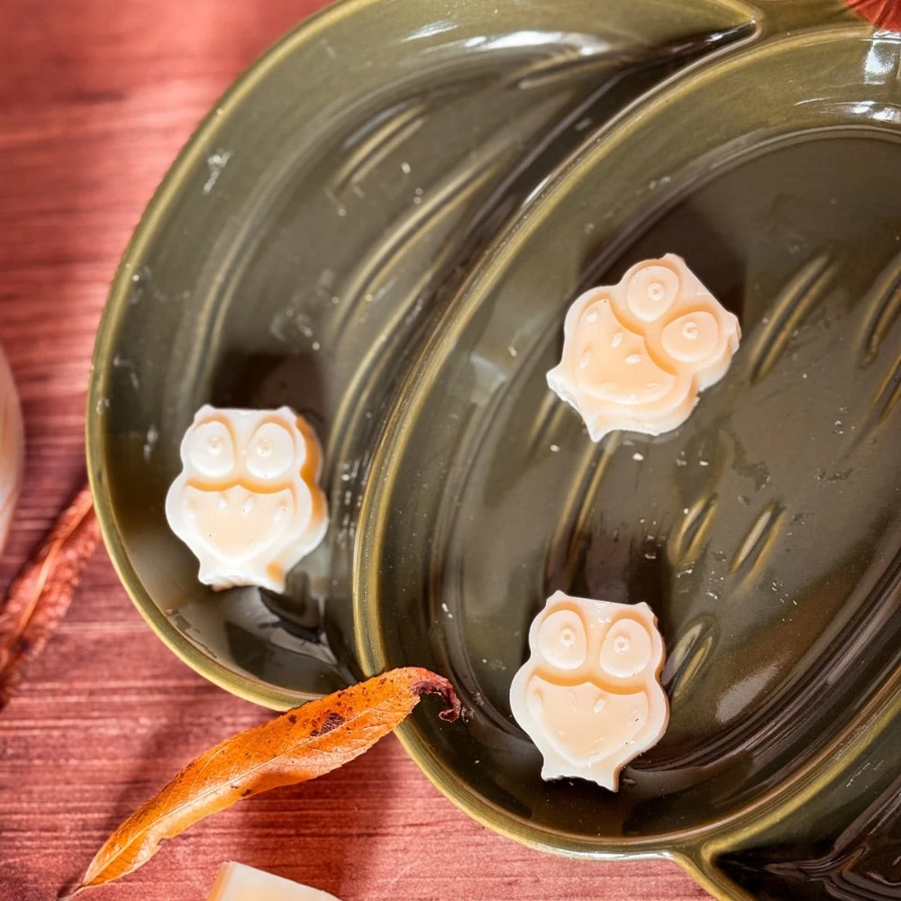 Lot de 4 Petites Chouettes en Fondants d'Automne