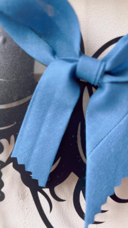 Cadre fleurs séchées bleu