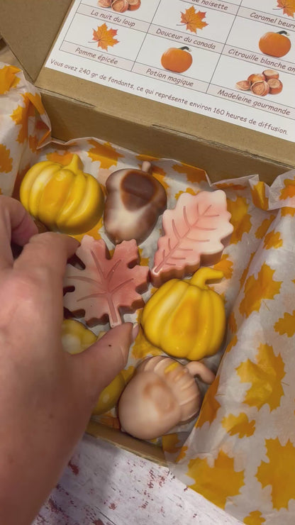 Big Coffret Automne
